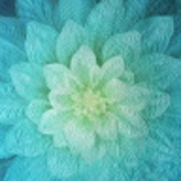 Meet your Posher, Bernice - Picture 1 of 1